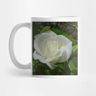 Quietly White Mug